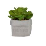 Διακοσμητικό γλαστράκι OEM