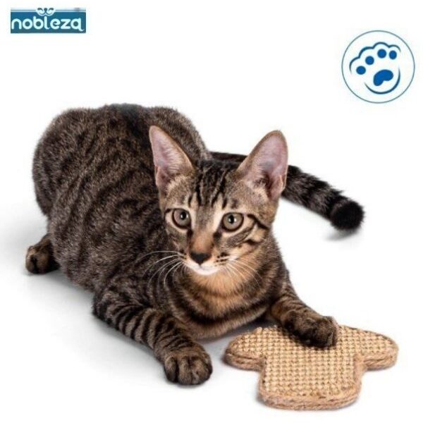 Μίνι ονυχοδρόμιο γάτας Μανιτάρι nobleza OEM