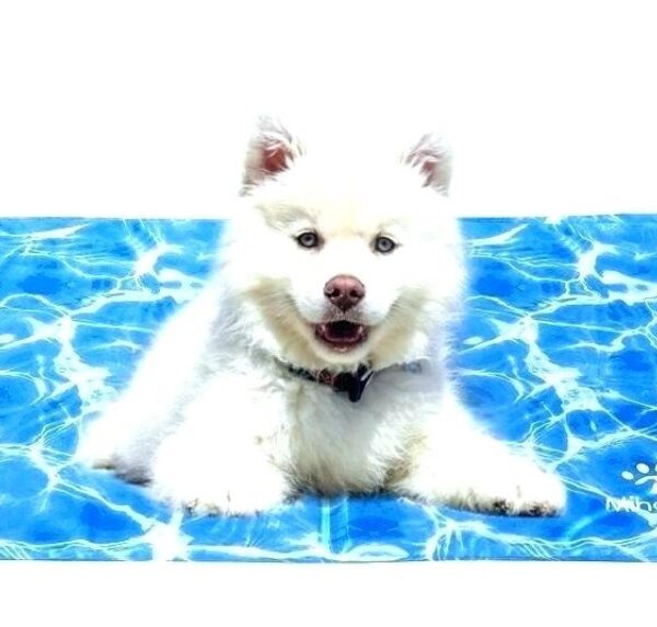 Στρώμα δροσιάς για κατοικίδια ζώα "νερό" 50x65cm nobleza 87495 NOBLEZA