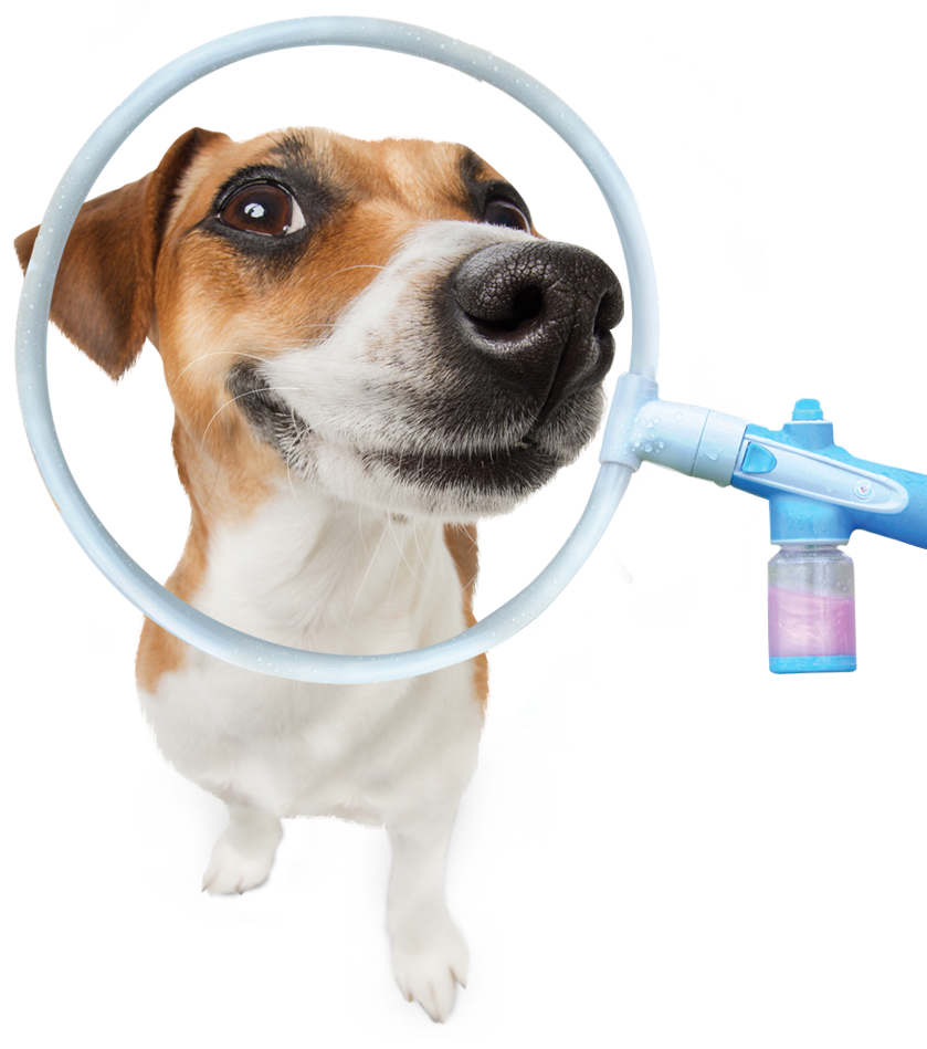 Pet_bath_ring__www.allsales.gr_1 Σύστημα καθαρισμού κατοικιδίων δαχτυλίδι OEM - Image 1