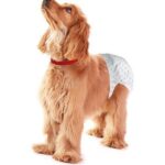 Ανοιγόμενη πάνα-βρακάκι σκύλου L 12 τεμάχια 8148 OEM