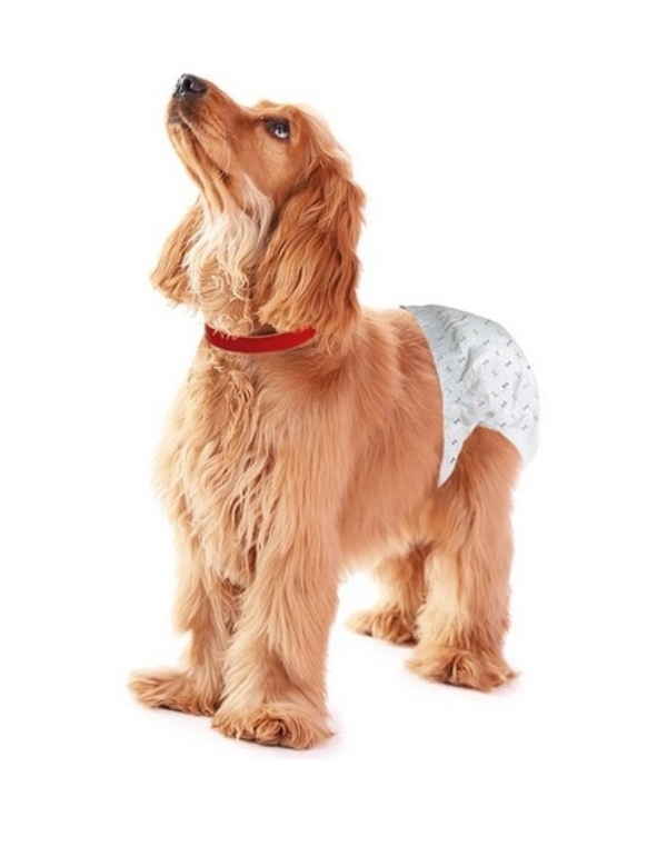 CREATOR: gd-jpeg v1.0 (using IJG JPEG v62), quality = 100 Ανοιγόμενη πάνα-βρακάκι σκύλου L 12 τεμάχια 8148 OEM - Image 1